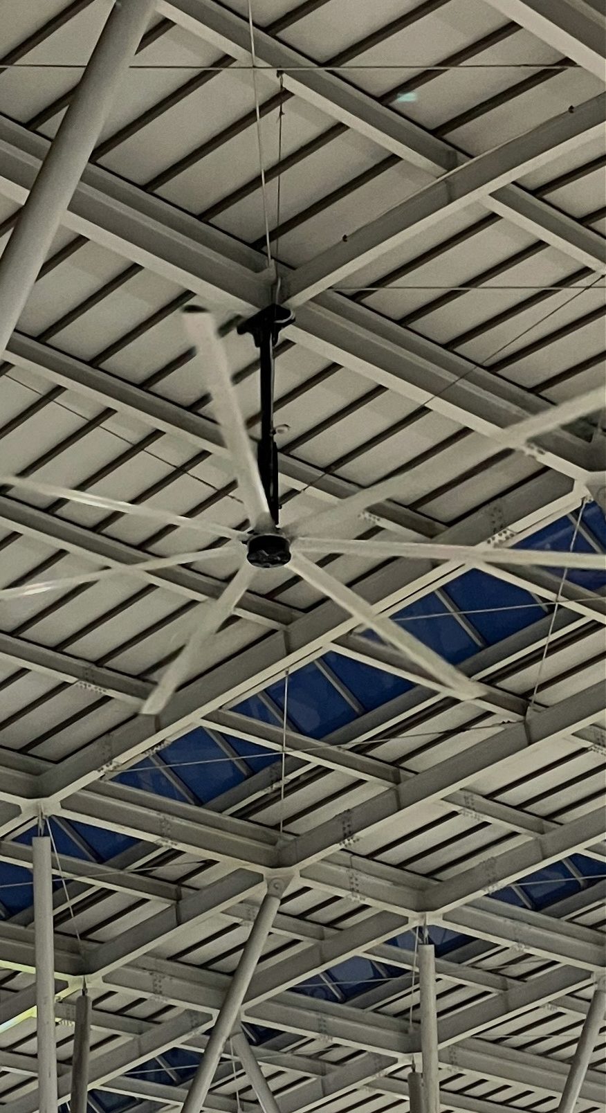Commercial Roof Project